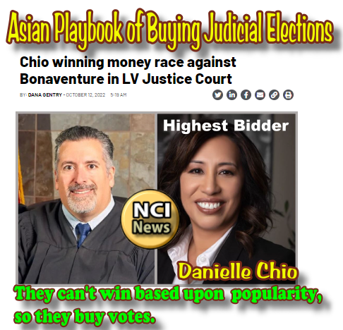 Defeat ed Judicial Candidate Danielle Pieper Chio