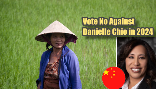 Vote No Against Danielle Chio in 2024