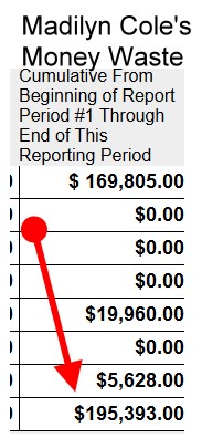 Madilyn Cole Expenses 2024 General Election 